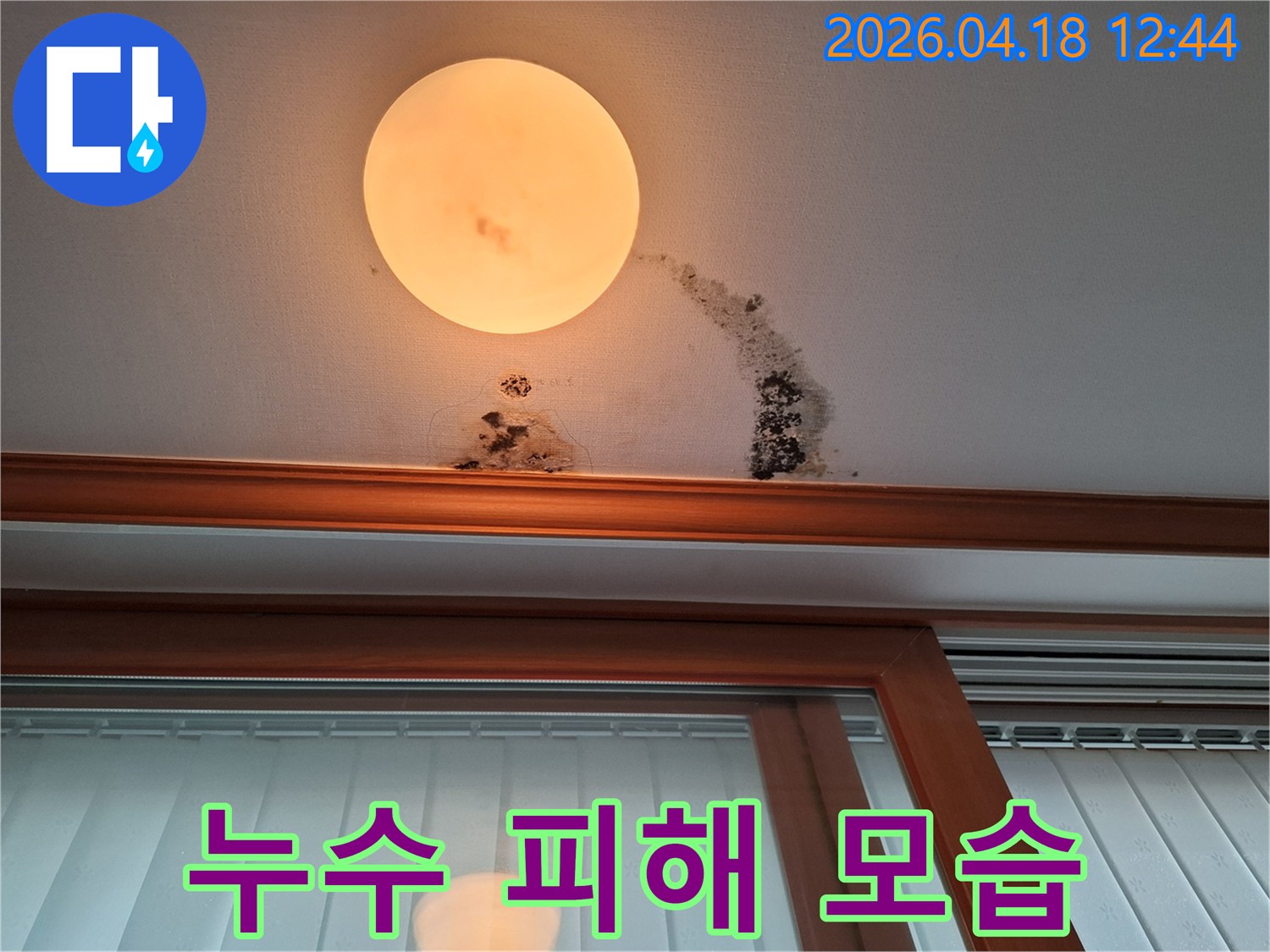 조명-주변-천장에-물이-새어-곰팡이-얼룩이-생긴-모습