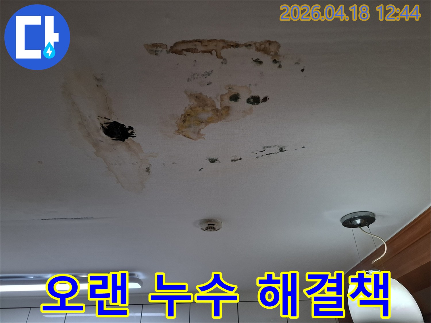 천장에 광범위하게 퍼진 오래된 누수 흔적과-검은 곰팡이가 심하게 번식한 상태를 보여주는 이미지입니다-근본적인 해결책이 필요합니다.