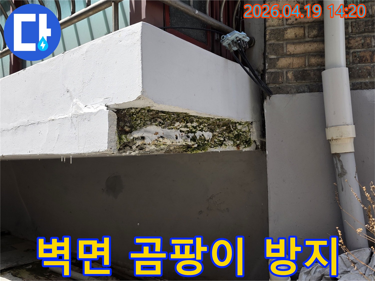 누수로-인해-벽면에-습기가-차고-초록색-곰팡이가-번식한-모습을-보여주는-사진