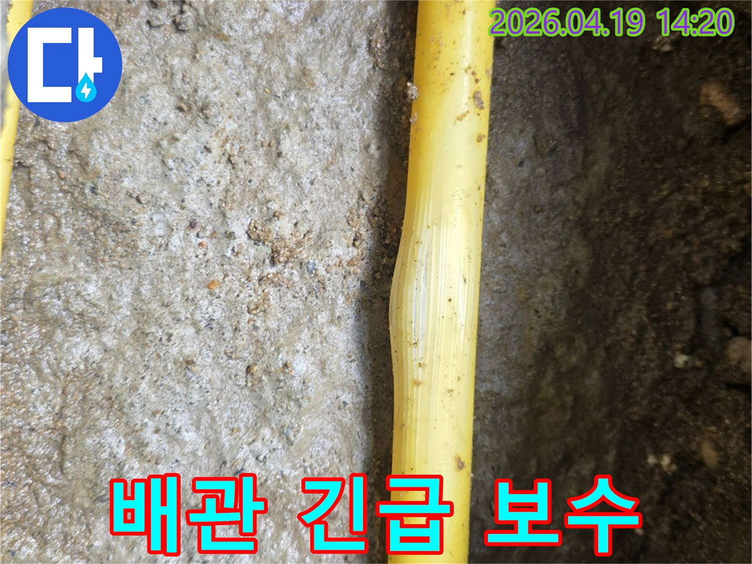 젖은 흙 속에 노출된 노란색 배관의 손상 부위가-긴급 보수가 필요한 누수 지점임을 나타냅니다.
