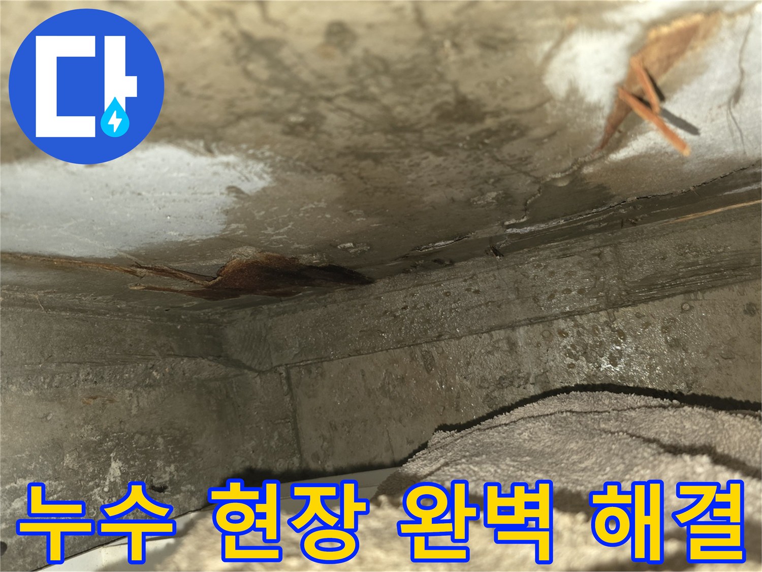 오래된 건물에서-발생하기 쉬운-천장 누수로 인해-벽면이 손상되고-곰팡이가 시작된-모습을 담고 있습니다