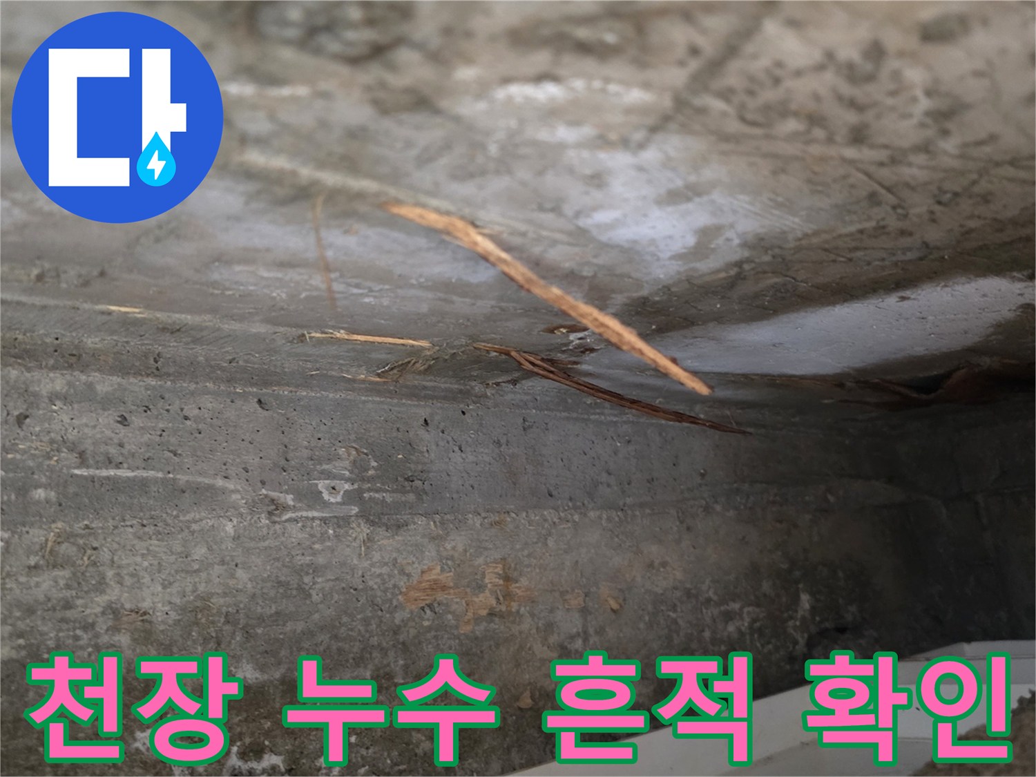천장 콘크리트에서-발견된-누수 흔적과-젖은 나뭇가지 같은 이물질