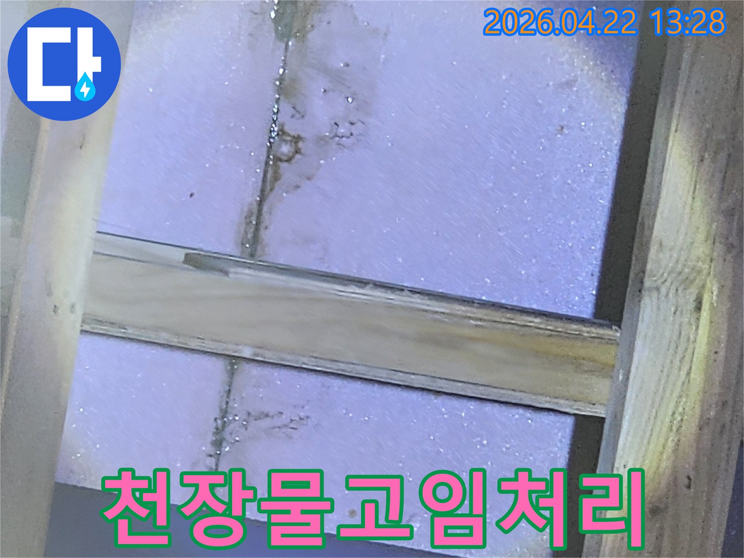 천장-내부에-물이-고여-단열재와-목재를-적시고-있는-긴급-누수-현장입니다