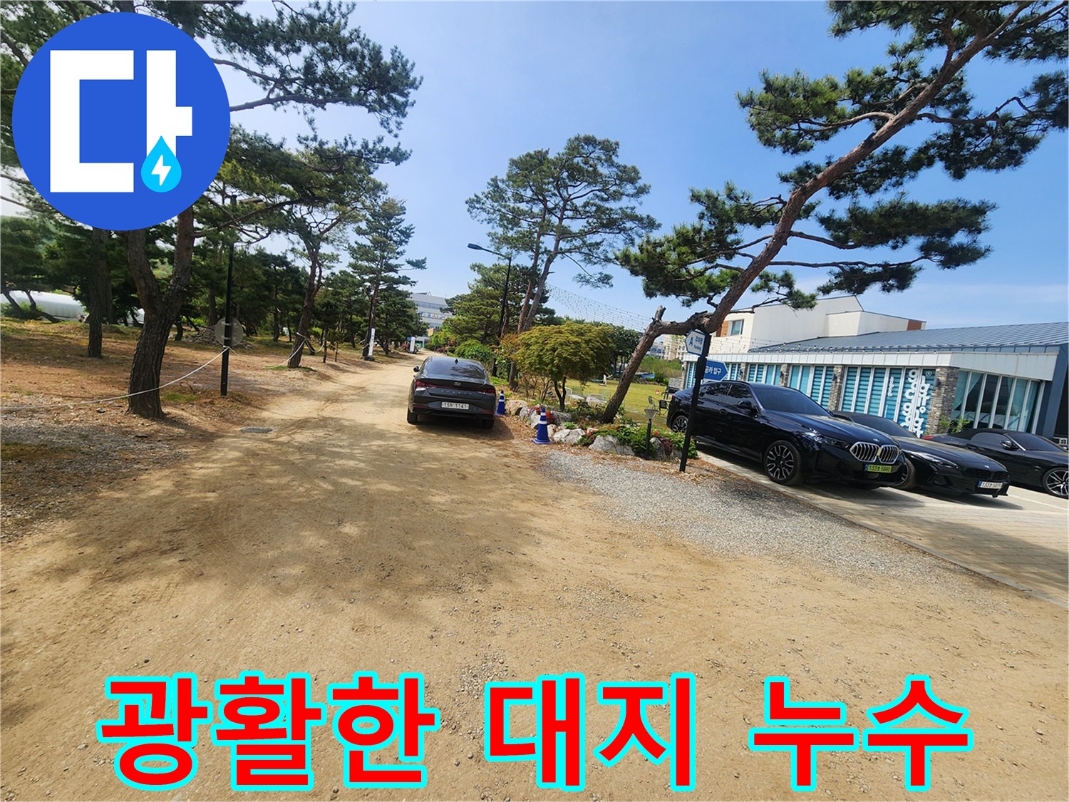 소나무가 우거진 넓은 야외 공간에서-누수 탐지 작업의 어려움을 시사하는 이미지입니다.