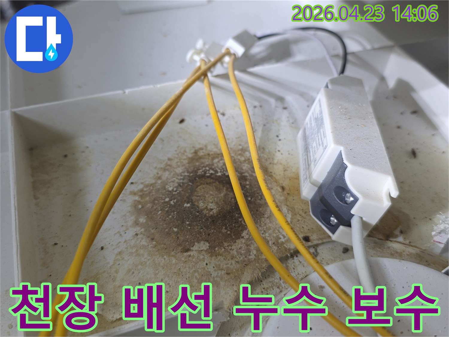 천장 속 전기 배선과 부품 주변에 형성된 짙은 물자국과 흙탕물 같은 오염-장기간 누수로 인한 피해를 명확히 보여줍니다-정확한 누수 지점 파악에 필수적인 증거입니다