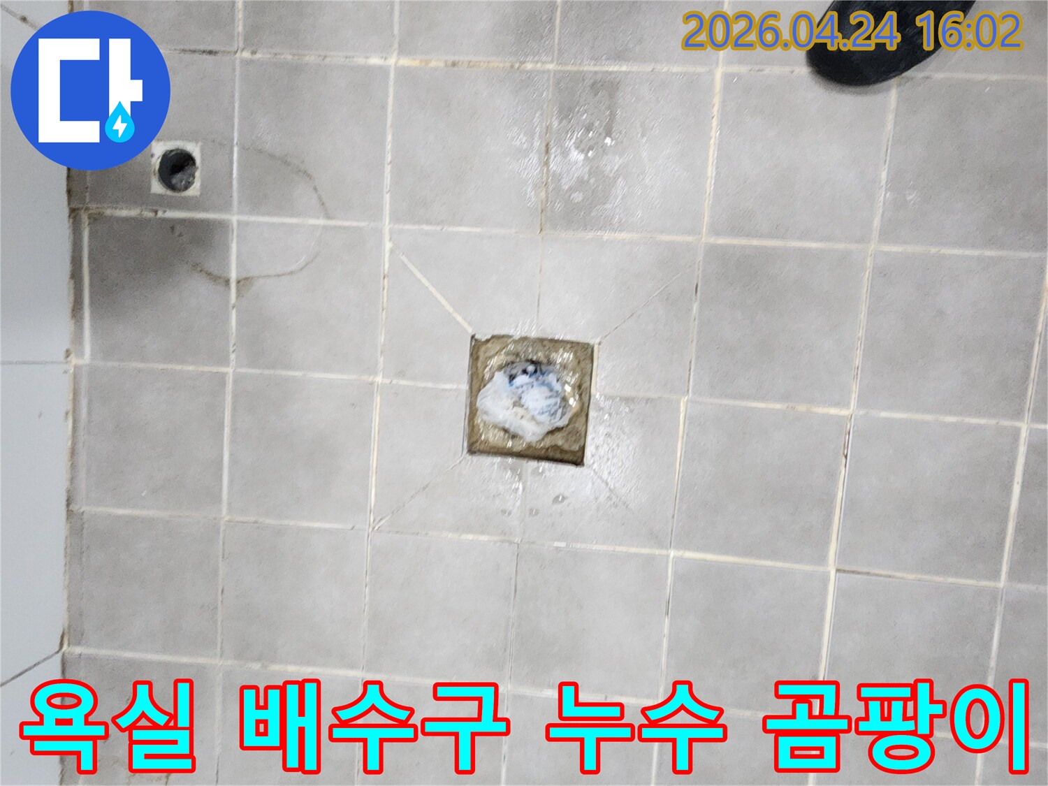 서대문구-아파트-욕실-배수구-주변-누수로-인한-곰팡이-발생-현장-점검