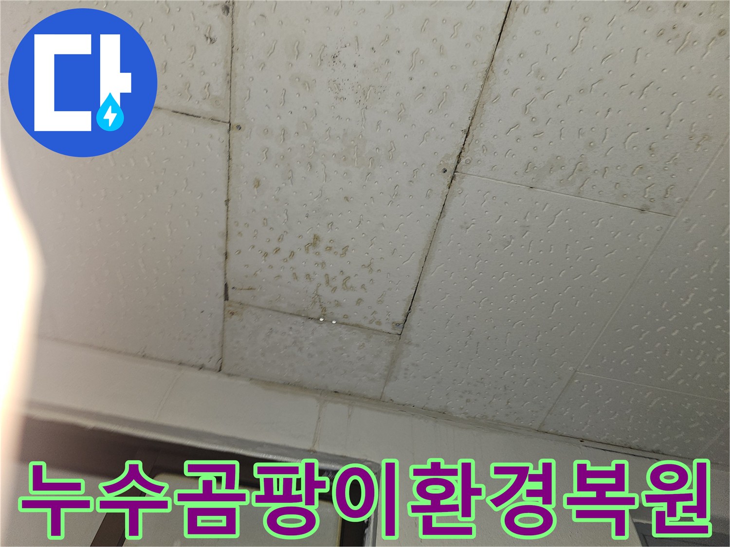 물에 젖고-얼룩진 타일 바닥에서-누수로 인한 곰팡이를-제거하고-쾌적한 환경으로-복원하는 모습입니다.