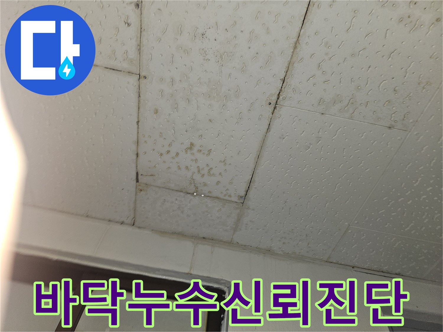 물에 젖은-타일 바닥의-누수 현장을-정확하게 진단하여-고객에게 신뢰를 주는-전문가의 모습입니다.