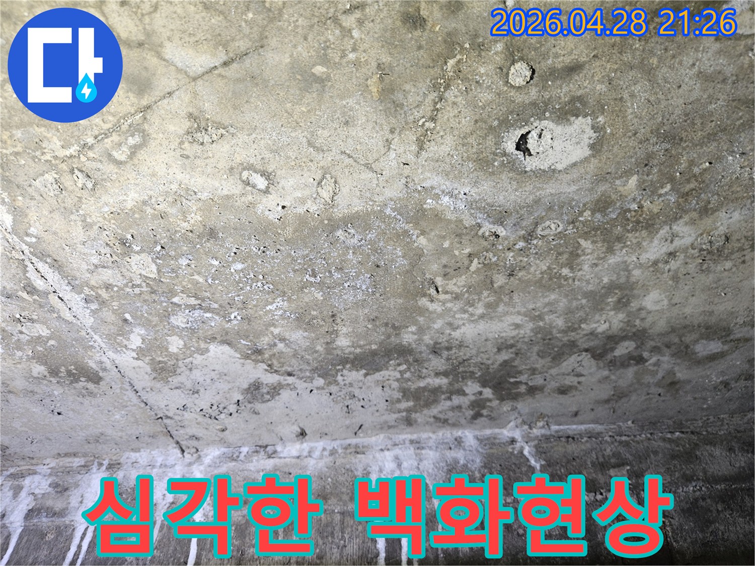 콘크리트-천장-전체에-퍼진-심각한-백화현상-누수-증상