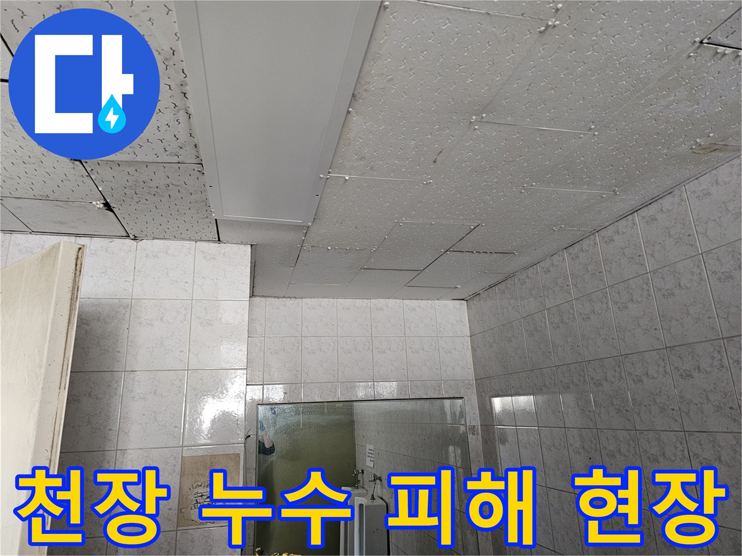 인천 연수구 아파트에서 발생한 천장 누수 피해-현장 진단 사진입니다
