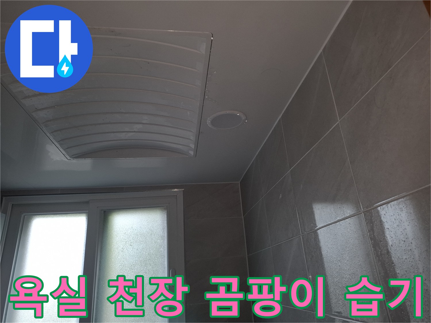 분당 지역의-아랫집 욕실 천장에-누수로 인한-습기와-곰팡이가-발생한-심각한-피해 상황을-보여주는-사진입니다