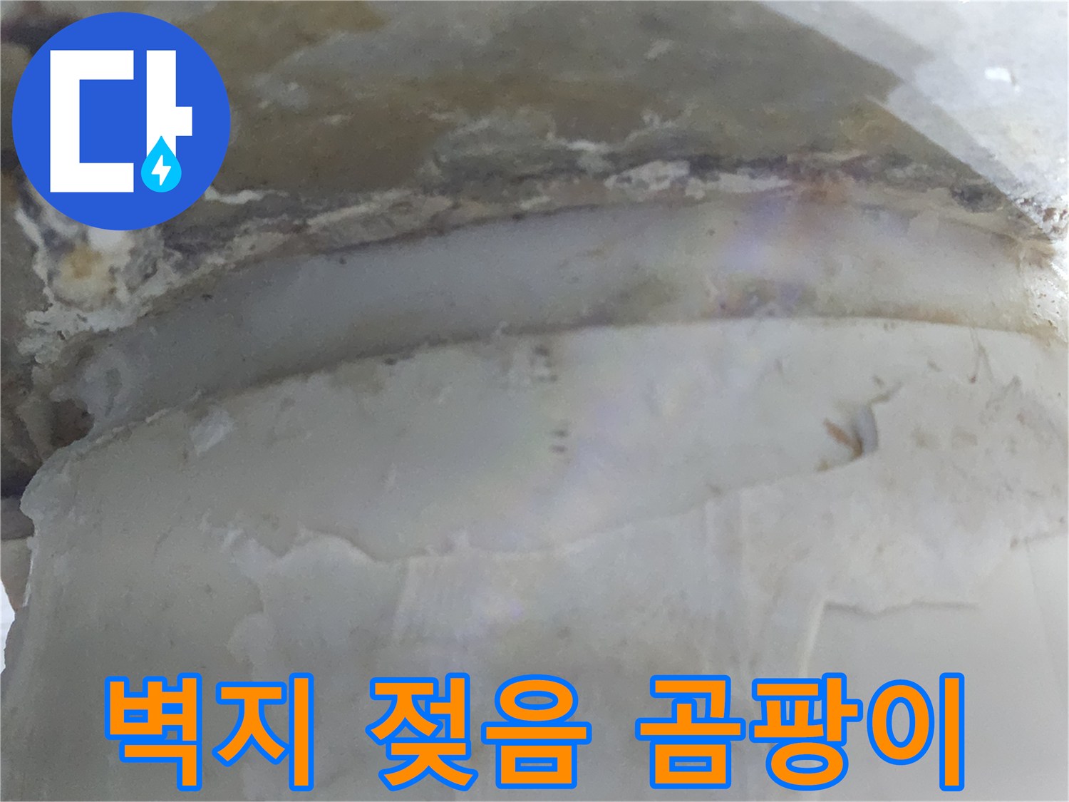 누수로 인해 벽지가 젖고-곰팡이가 번식한 모습을-선명하게 보여줍니다