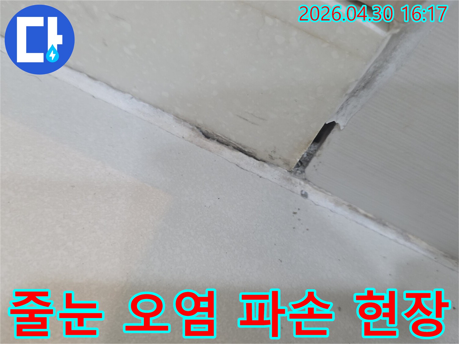 이 이미지는-성동구 금호동 아파트-욕실에서-타일 줄눈의-심각한-오염과-파손-현장을-보여줍니다.