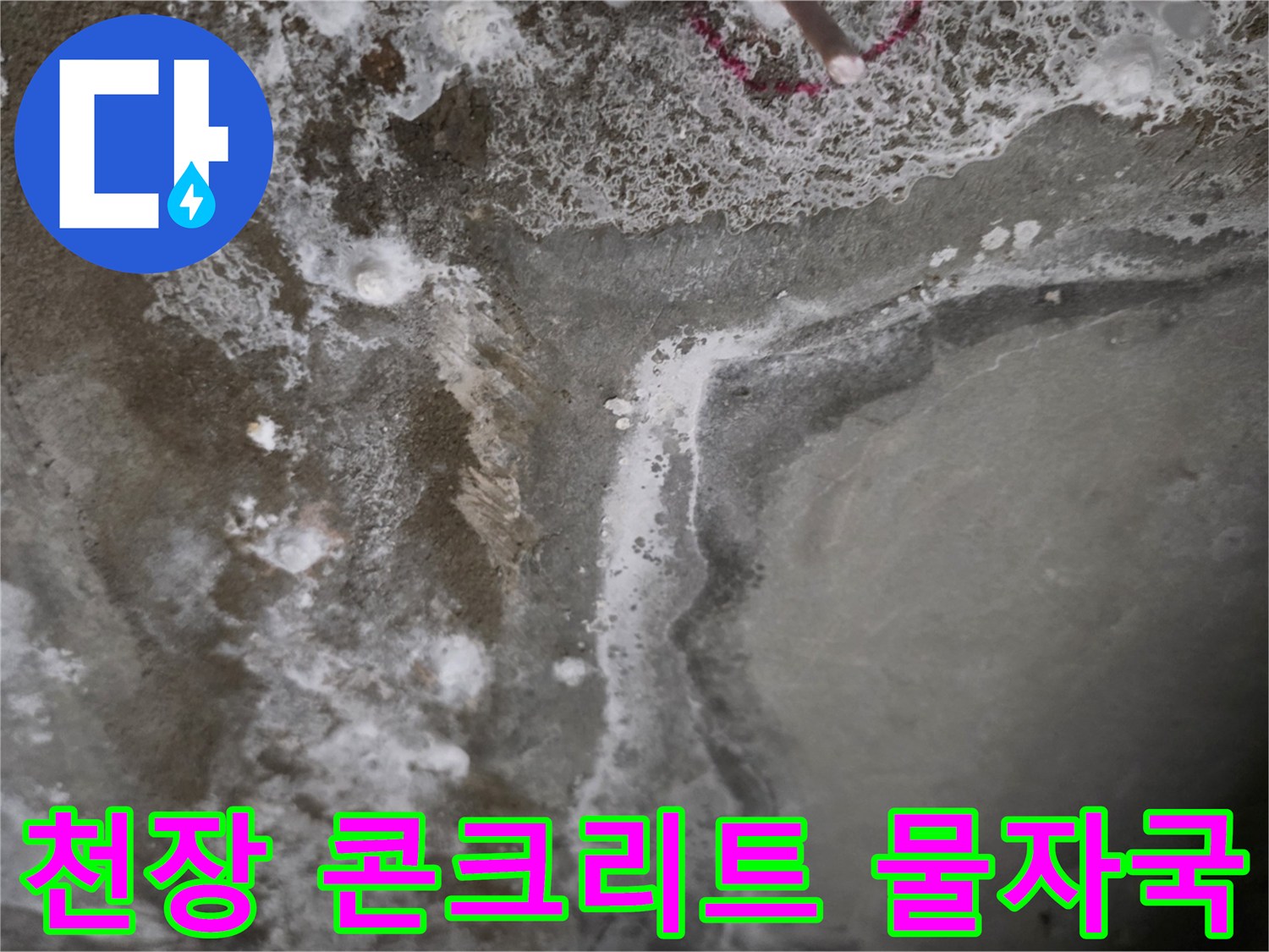 콘크리트-슬래브-표면에-하얗게-발생한-백화현상과-물자국