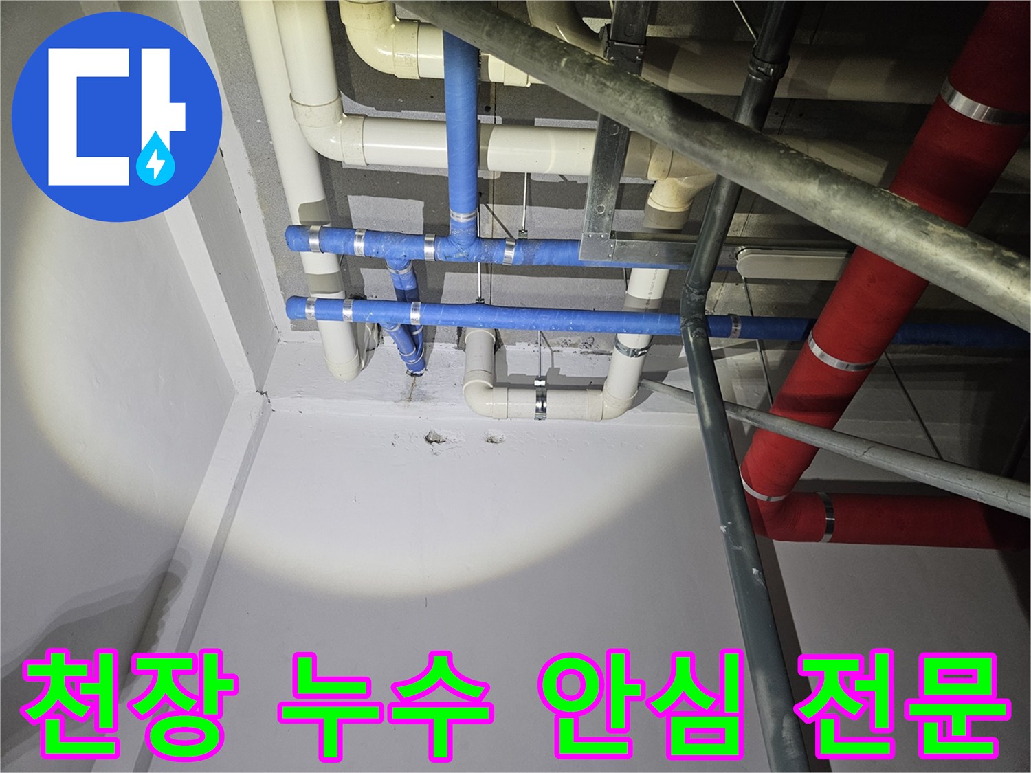 지하-천장-배관에서-발생한-누수-지점을-확인하고-안심하고-맡길-수-있도록-정확히-진단하는-모습