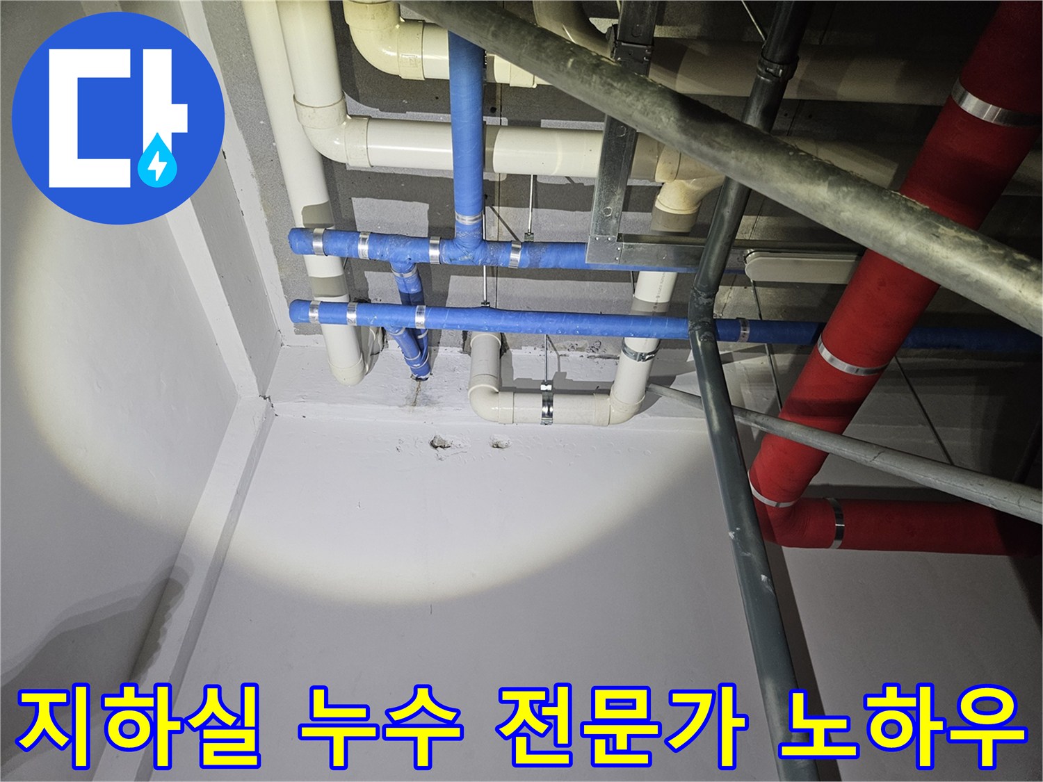 지하실-천장-배관에서-발생한-누수-지점을-전문가의-노하우로-정확히-확인하고-해결하는-모습