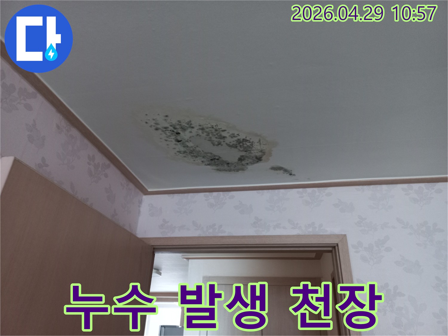 누수-발생-후-시간이-지나-천장에-검고-푸른-곰팡이가-자리잡은-모습입니다.