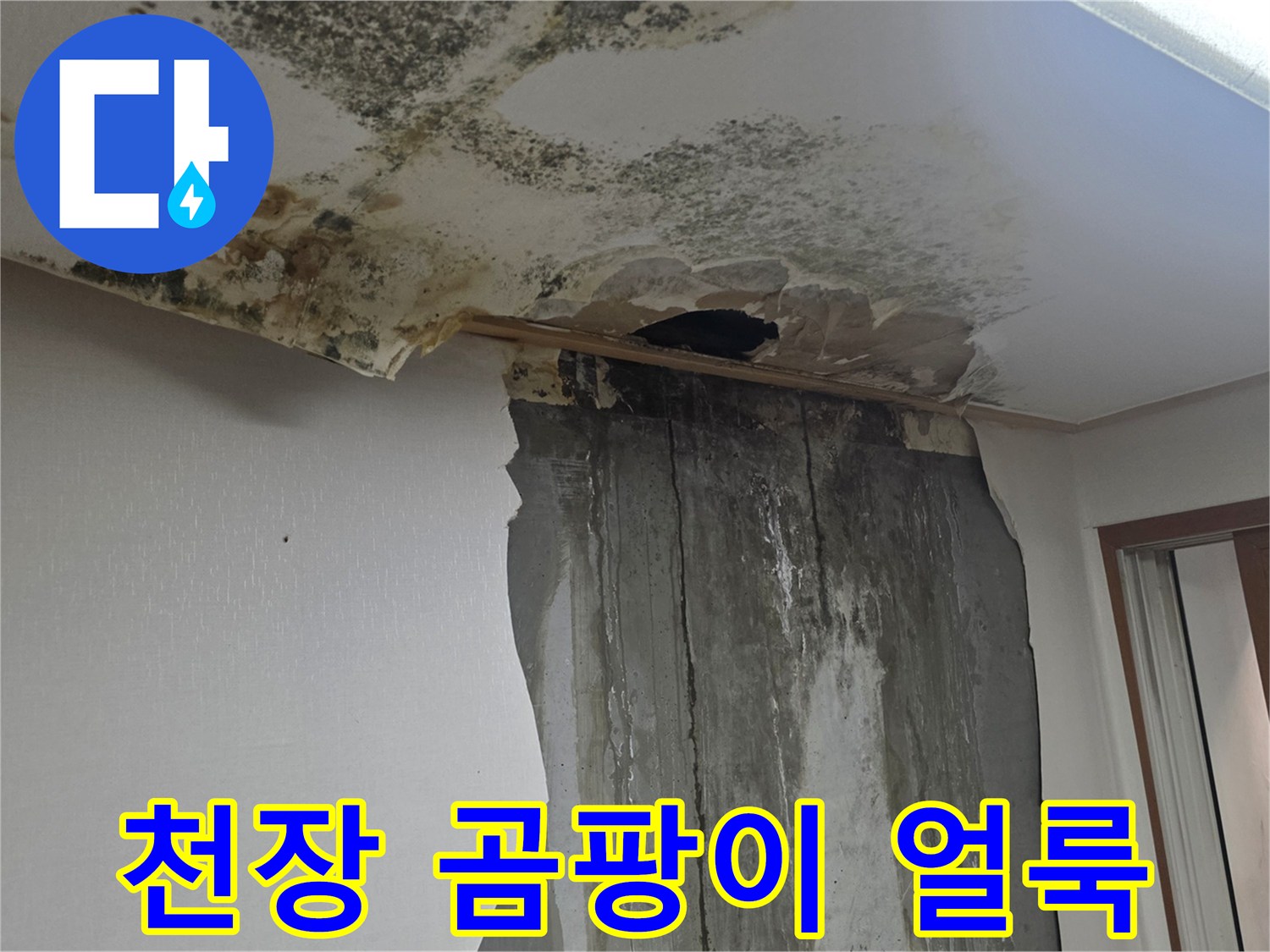 구로구 아파트 천장 - 곰팡이와 물자국이 번진 모습