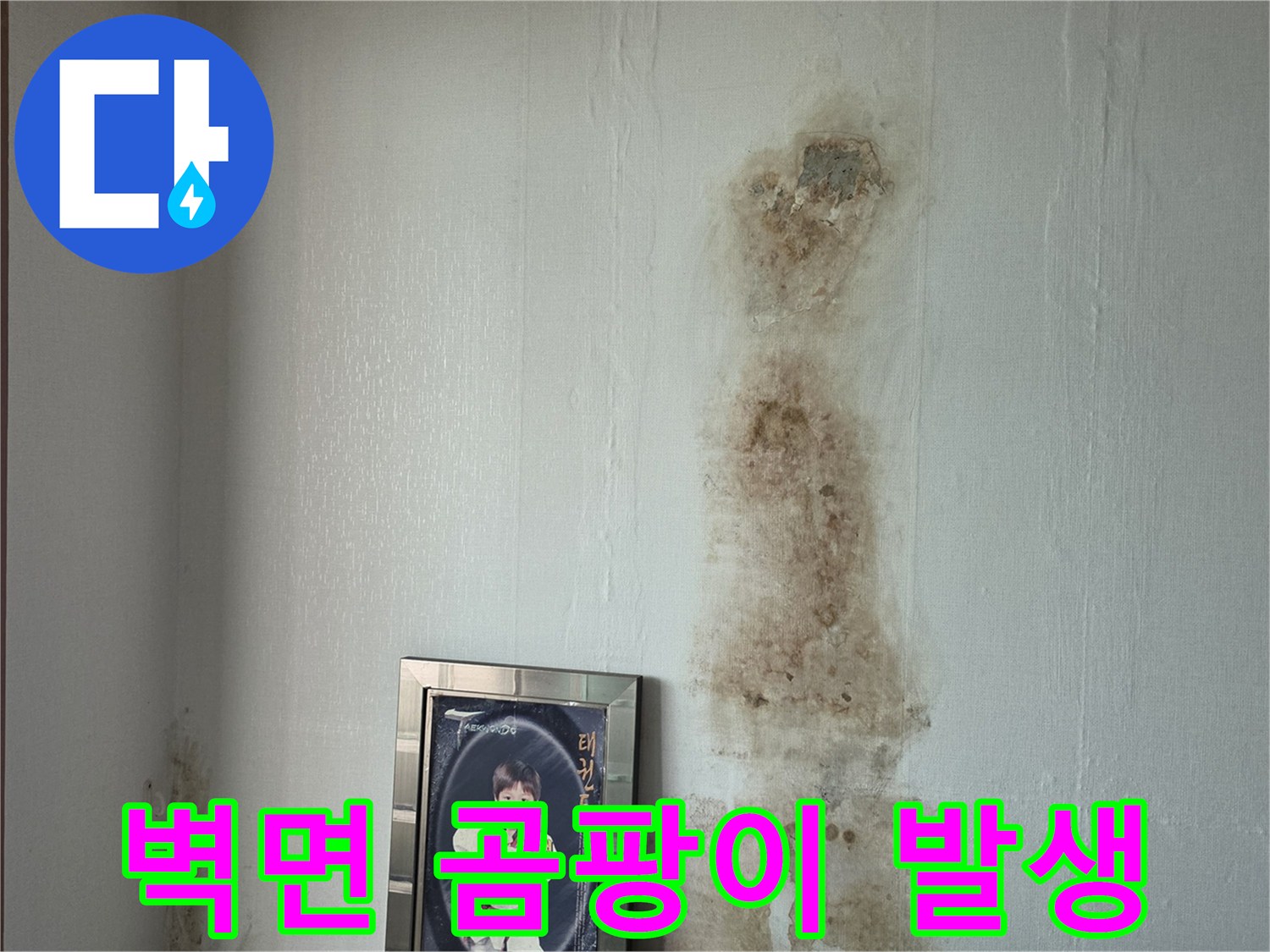 벽지 곳곳에 퍼진 곰팡이와 습기 얼룩