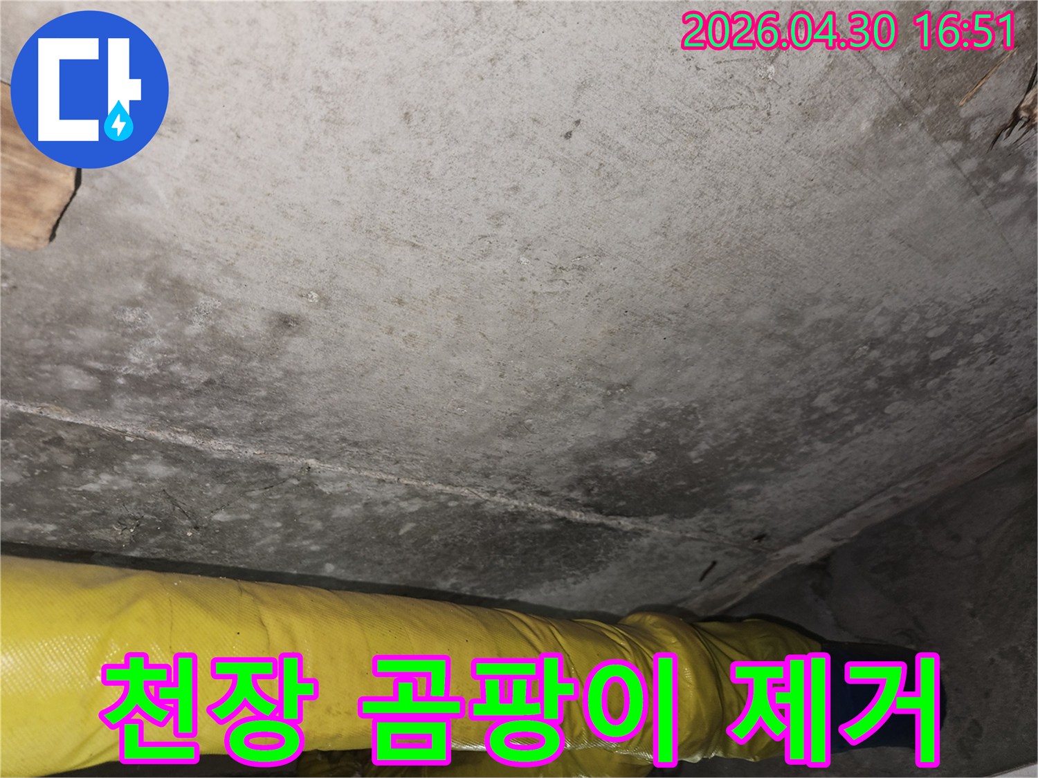 포천 일동면 리버아파트 천장에서-발견된 누수 곰팡이를-전문가가 제거하고-누수 원인을 해결하는 과정