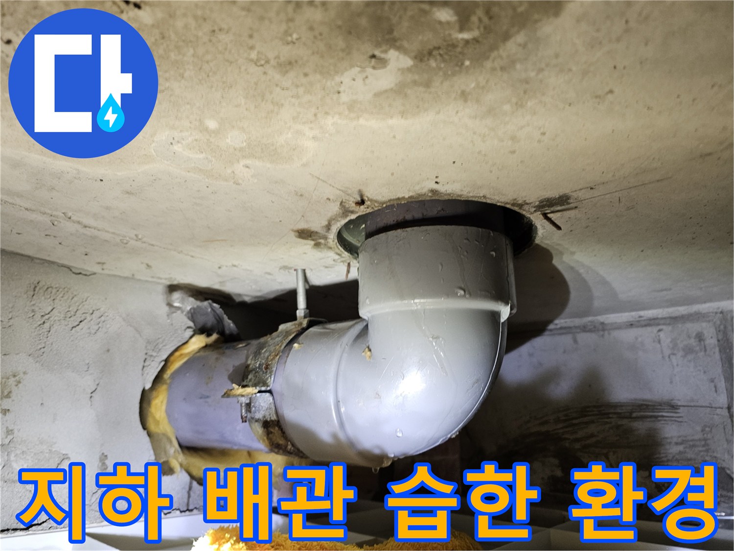 어둡고 습한-지하 또는 유틸리티 공간에서-배관 누수 여부를-정밀하게 탐지하는-작업 현장