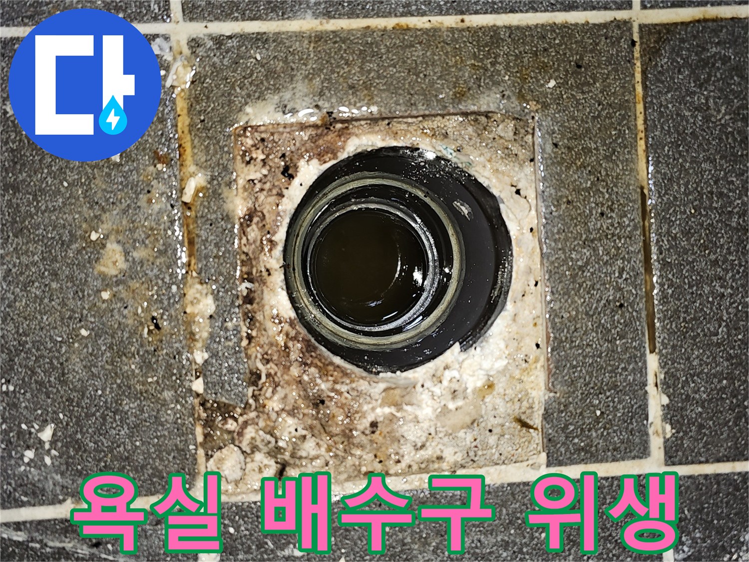욕실 배수구에서-오수가 역류하여 바닥에 고여있는-심각한 위생 문제 현장의 사진입니다.