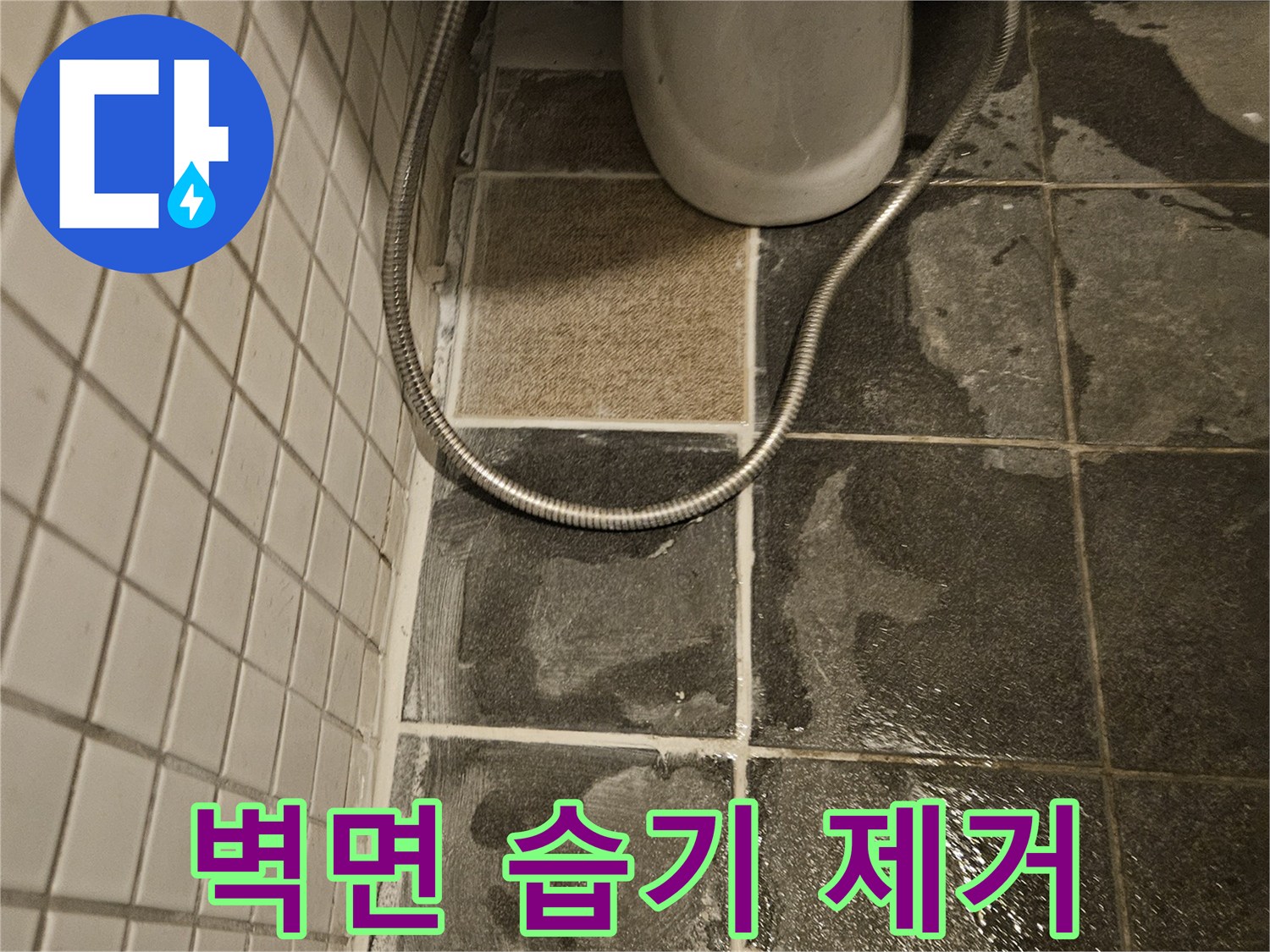 욕실 벽면 타일의-심한 습기로 인한-손상과 곰팡이를 보여줍니다.
