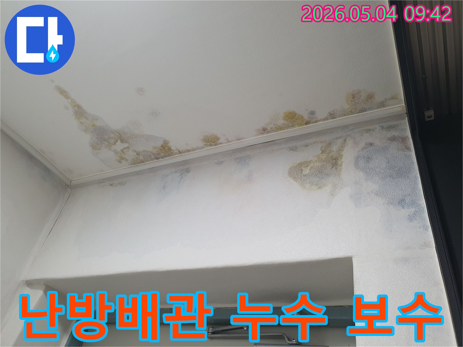 아파트-천장과-벽에-난방배관-누수로-인한-곰팡이가-생겨-신속한-보수가-필요한-현장