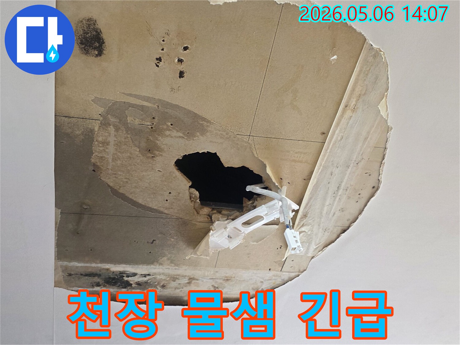 천장에서-물이-새어-마감재가-파손되고-곰팡이가-번식한-긴급한-누수-현장