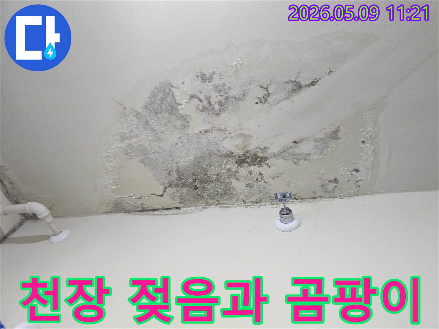 물이 새어 천장에 얼룩과 곰팡이가 생긴-심각한 누수 현장