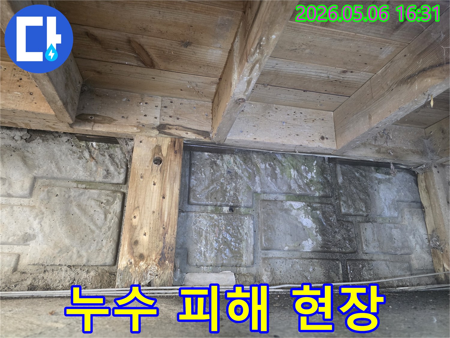 누수로 인해 목재가 젖고-벽면에 곰팡이가 번식한-건물 하부의 습한 공간 모습
