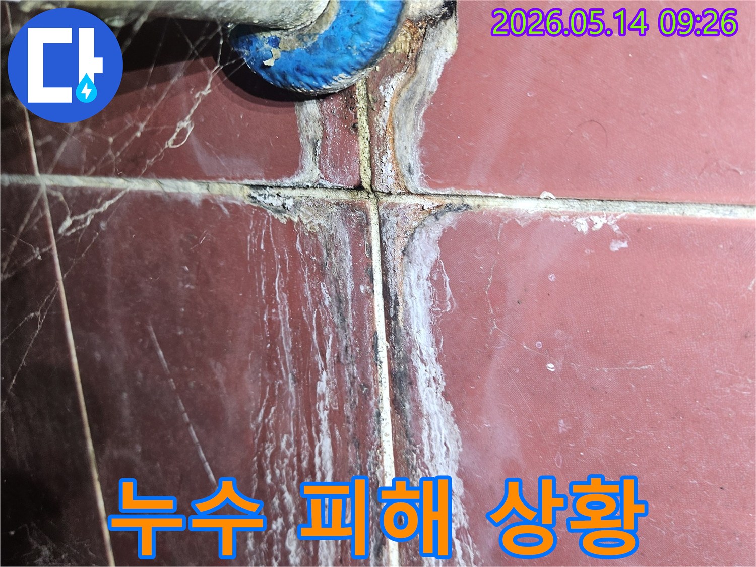 벽면 타일과 배관 연결부에서-장기간 지속된 누수로 인한-하얀 결정체와 검은 곰팡이-피해 상황을 보여주는 이미지