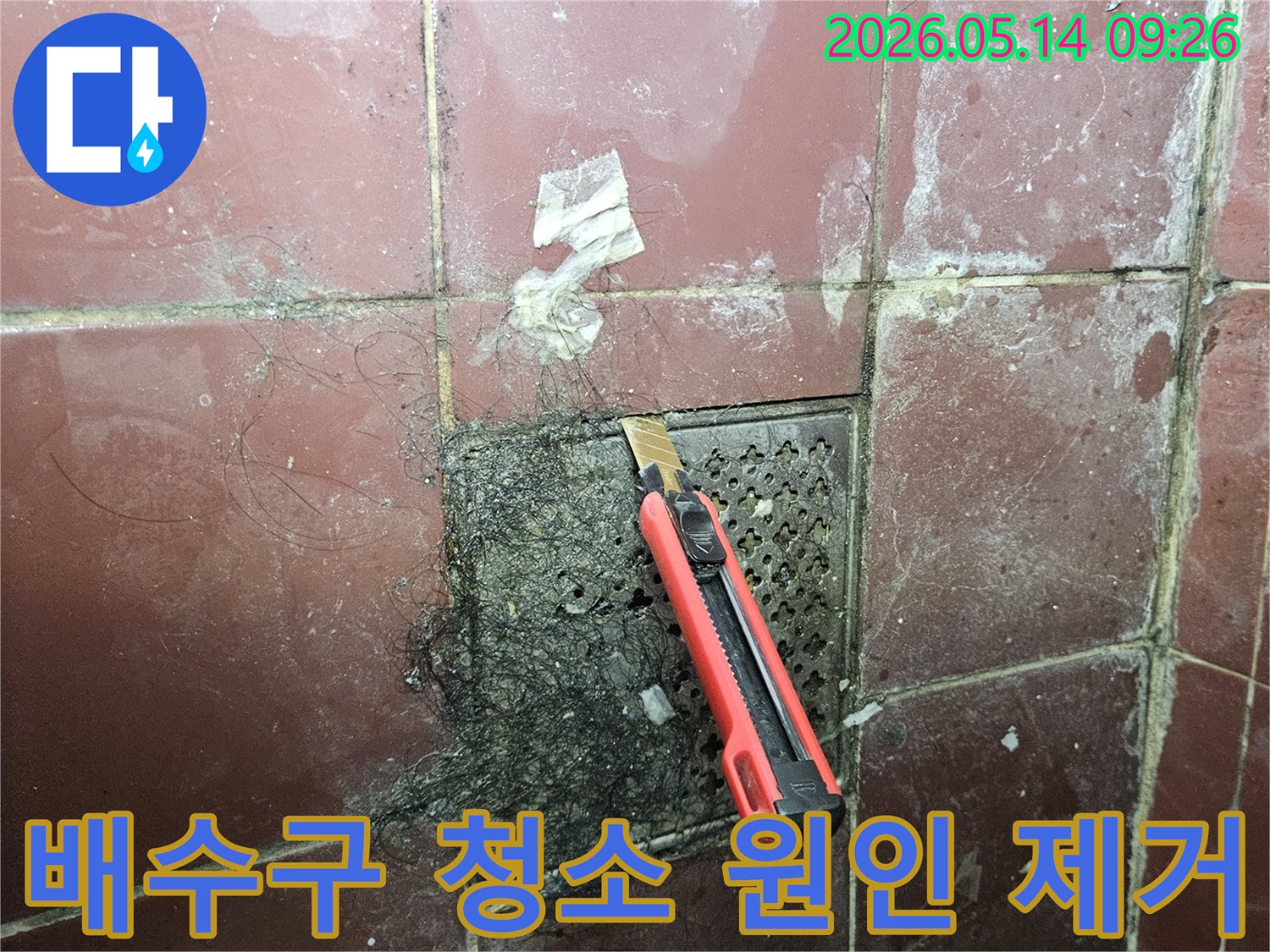 오래된 욕실 배수구에 엉킨 머리카락과 슬러지를 커터칼로 긁어내며 누수 원인을 제거하는 청소 작업