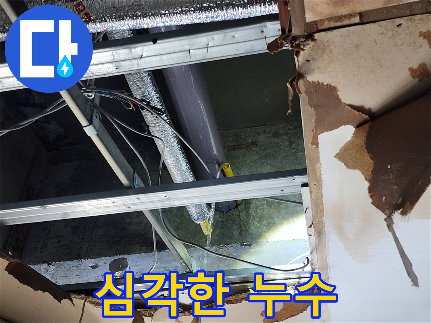 천안-동남구-주택에서-발생한-심각한-천장-누수-현장을-긴급-보수하기-위해-진단하는-모습