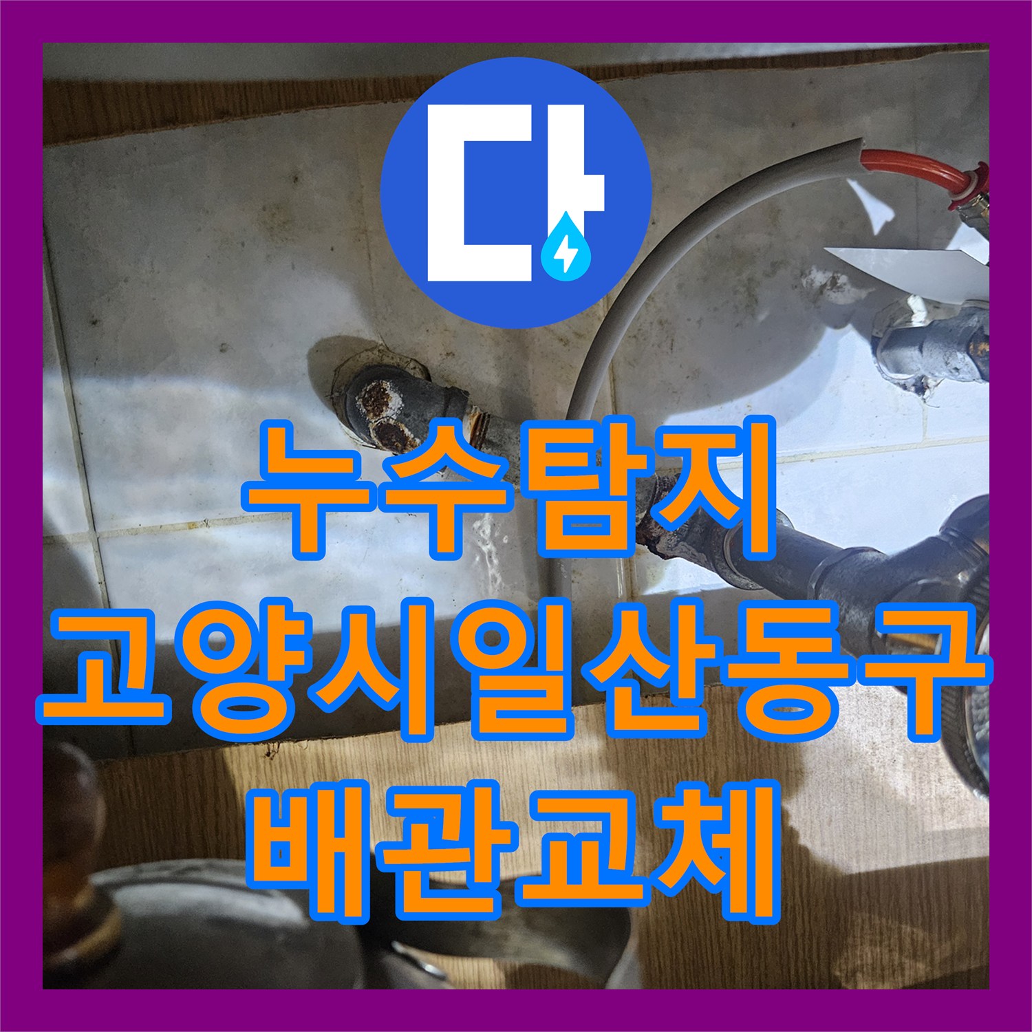 누수탐지 2층 주택 배관 결함으로 인한 1층 상가 천장 물샘 해결 경기 고양시 일산동구
