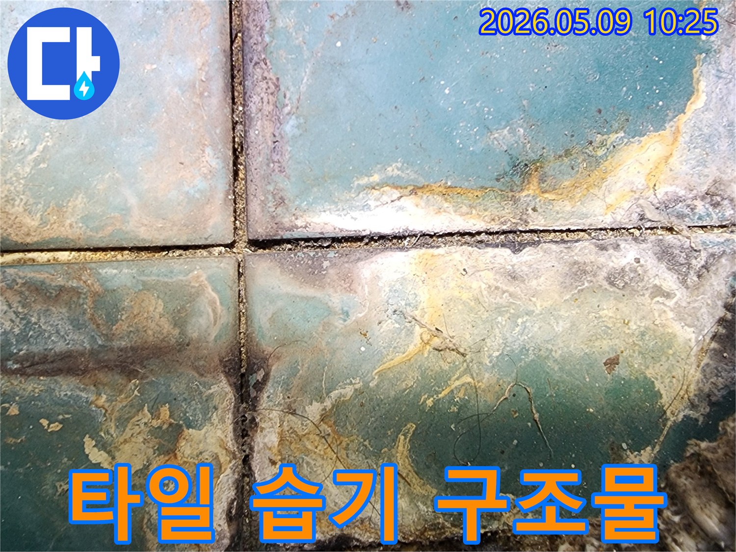 타일 아래 습기 침투로 인한 심각한 구조물 손상과 변색-누수로 인한 건물의 내구성 저하 우려
