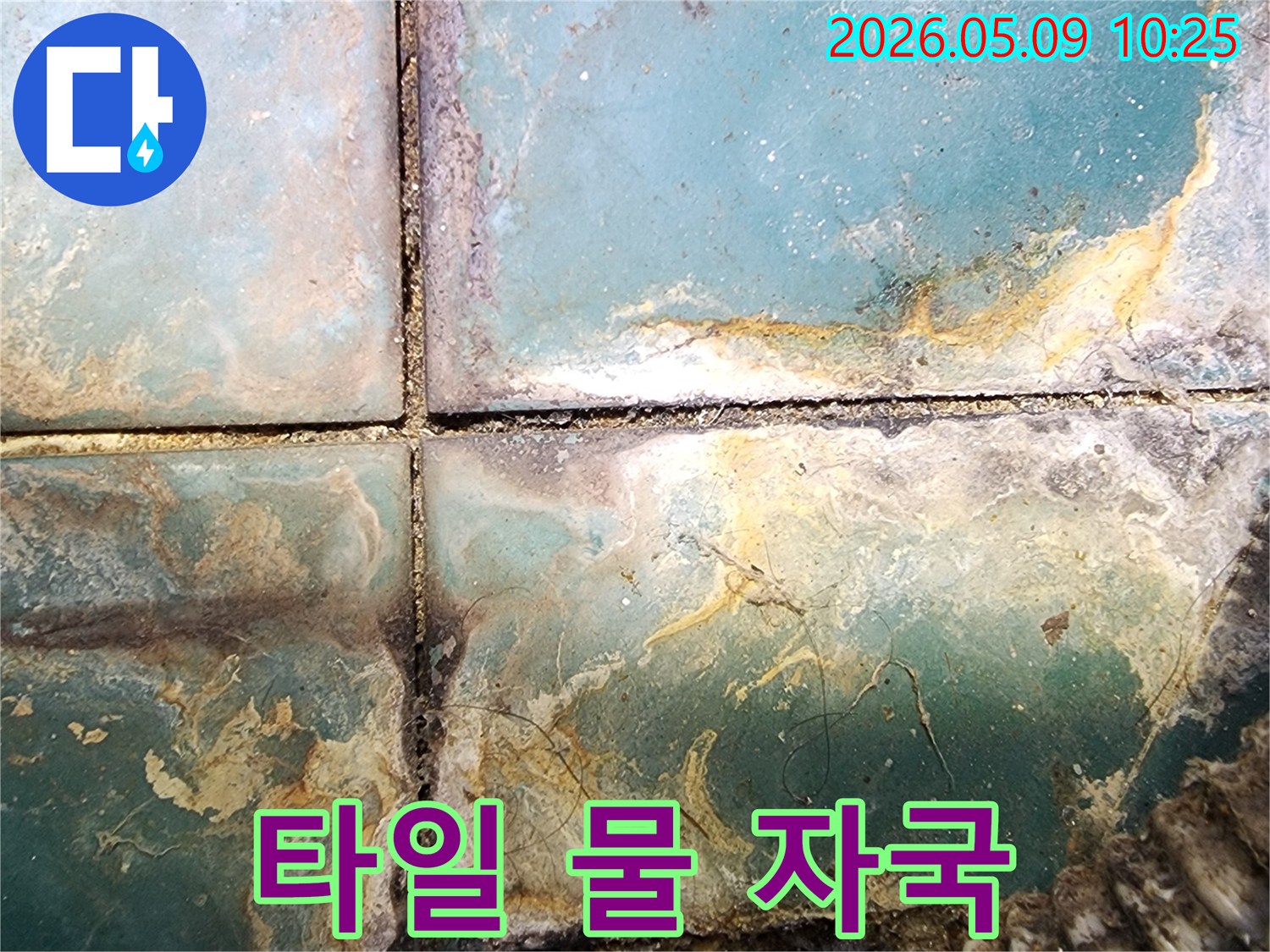 타일 표면에 넓게 퍼진 심각한 물 자국과 얼룩-누수로 인한 미관 손상과 위생 문제 현장