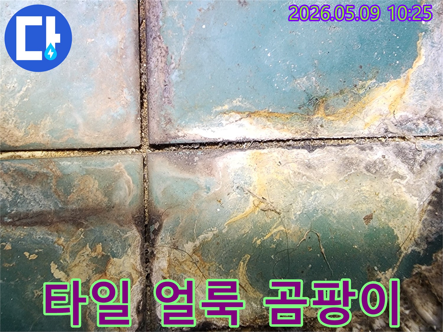 타일 표면에 넓게 퍼진 심각한 얼룩과 곰팡이-누수로 인한 미관 손상과 위생 문제 현장