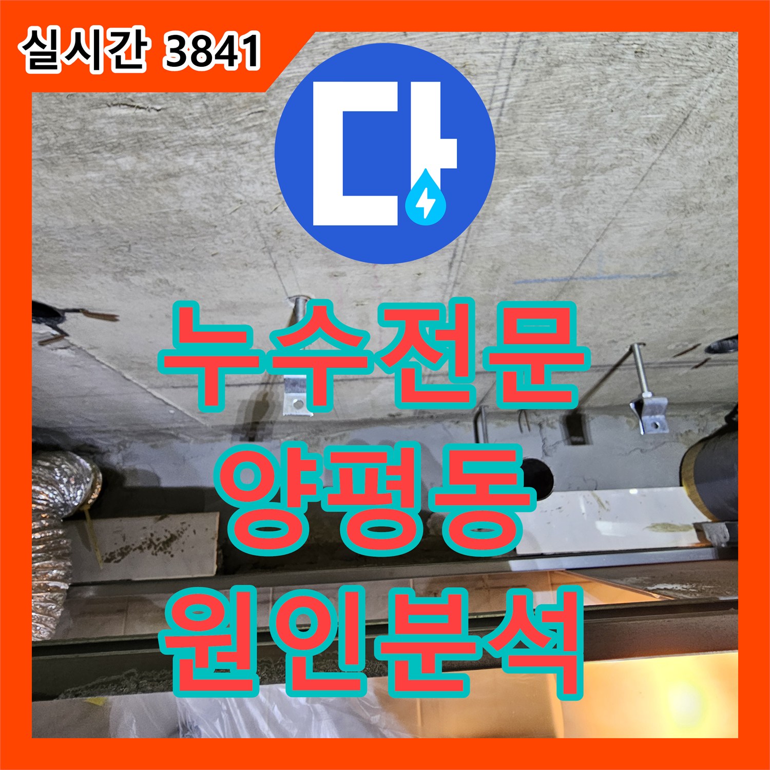 누수전문업체에서 서울 영등포구 양평동의 한 상가 복잡한 누수 원인을 분석하여 근본적인 해결책을 제시한 현장 이야기