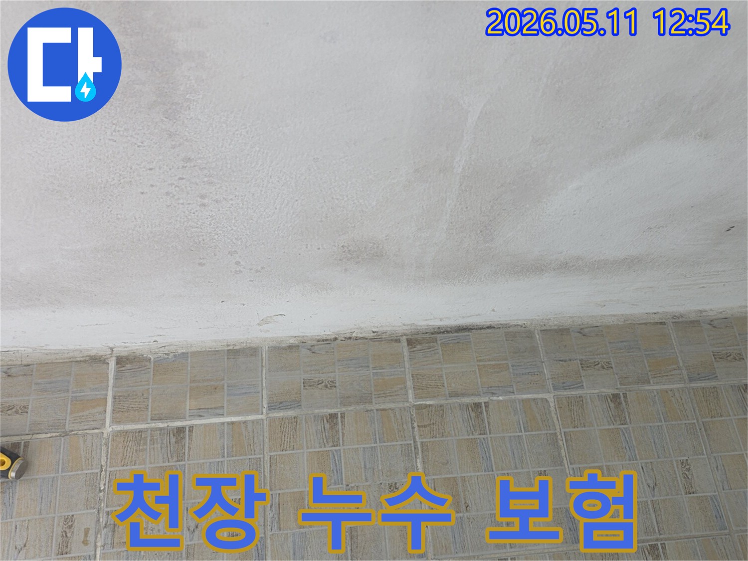 누수-보험-처리를-위해-천장의-물자국과-변색-상태를-촬영한-현장-사진