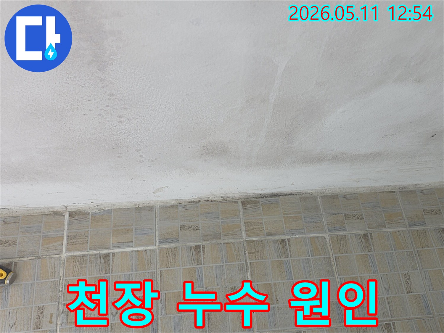 누수-진단을-위해-천장의-물자국과-변색-상태를-촬영한-현장-사진