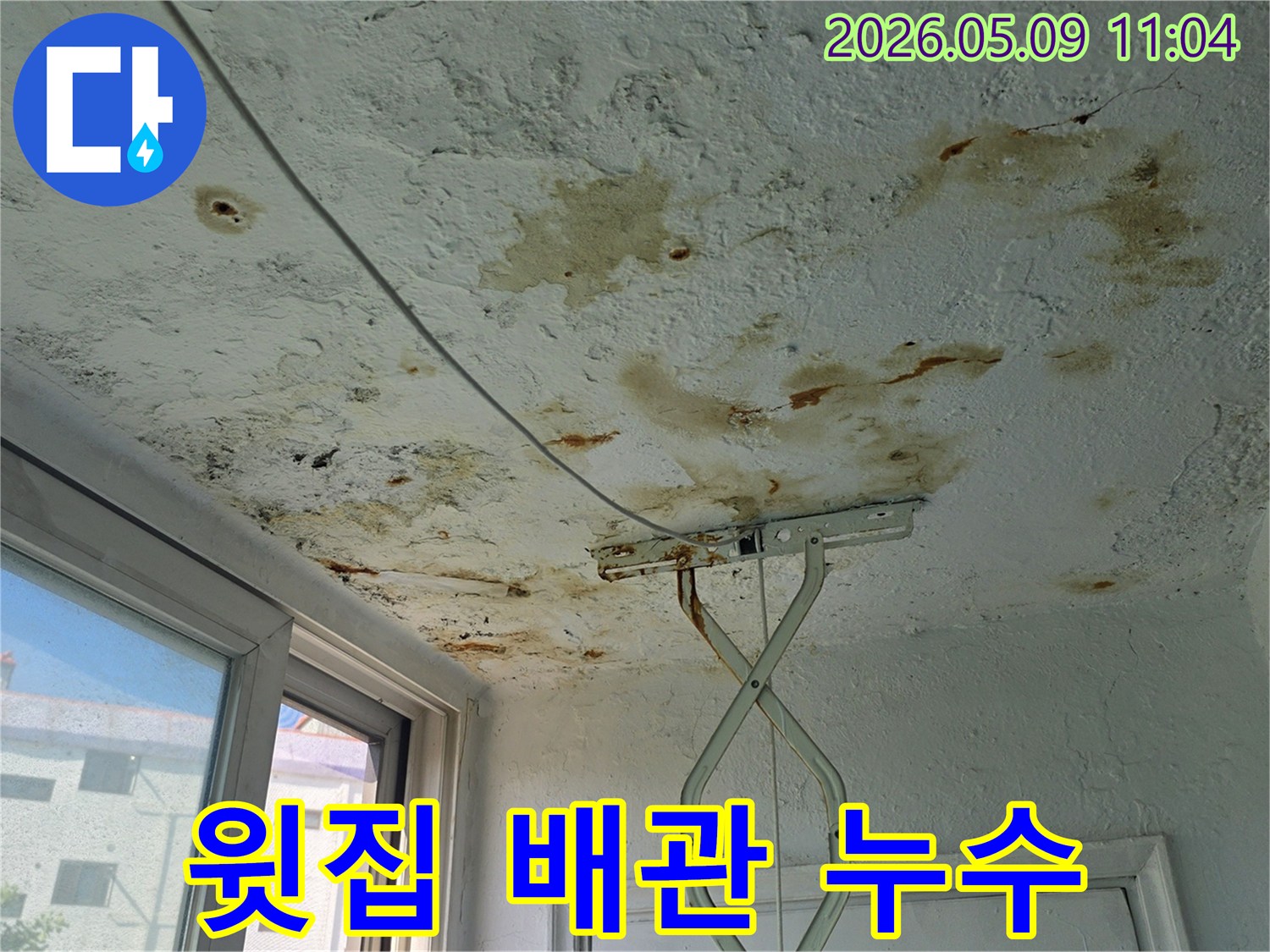 천장에 발생한 누수-얼룩과 곰팡이는-윗집 배관 문제로-인한 물샘을 시사합니다