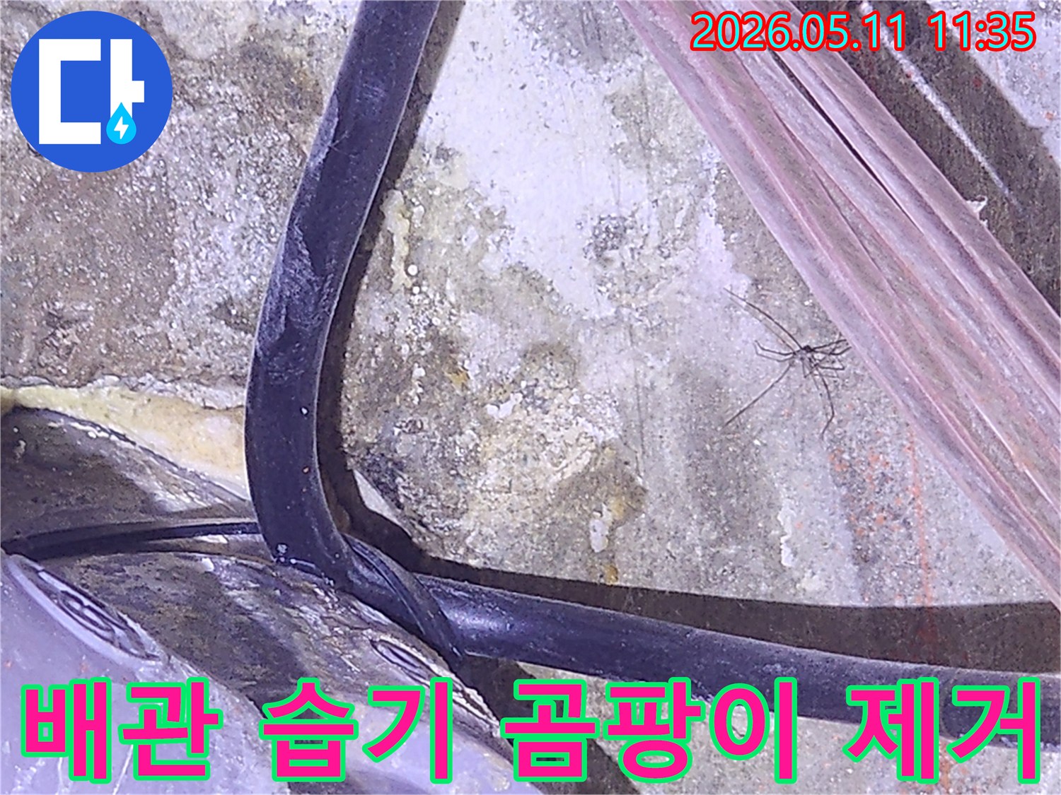 누수-발생으로-인한-배관-주변의-습기와-곰팡이를-제거하기-전-상태를-보여주는-사진