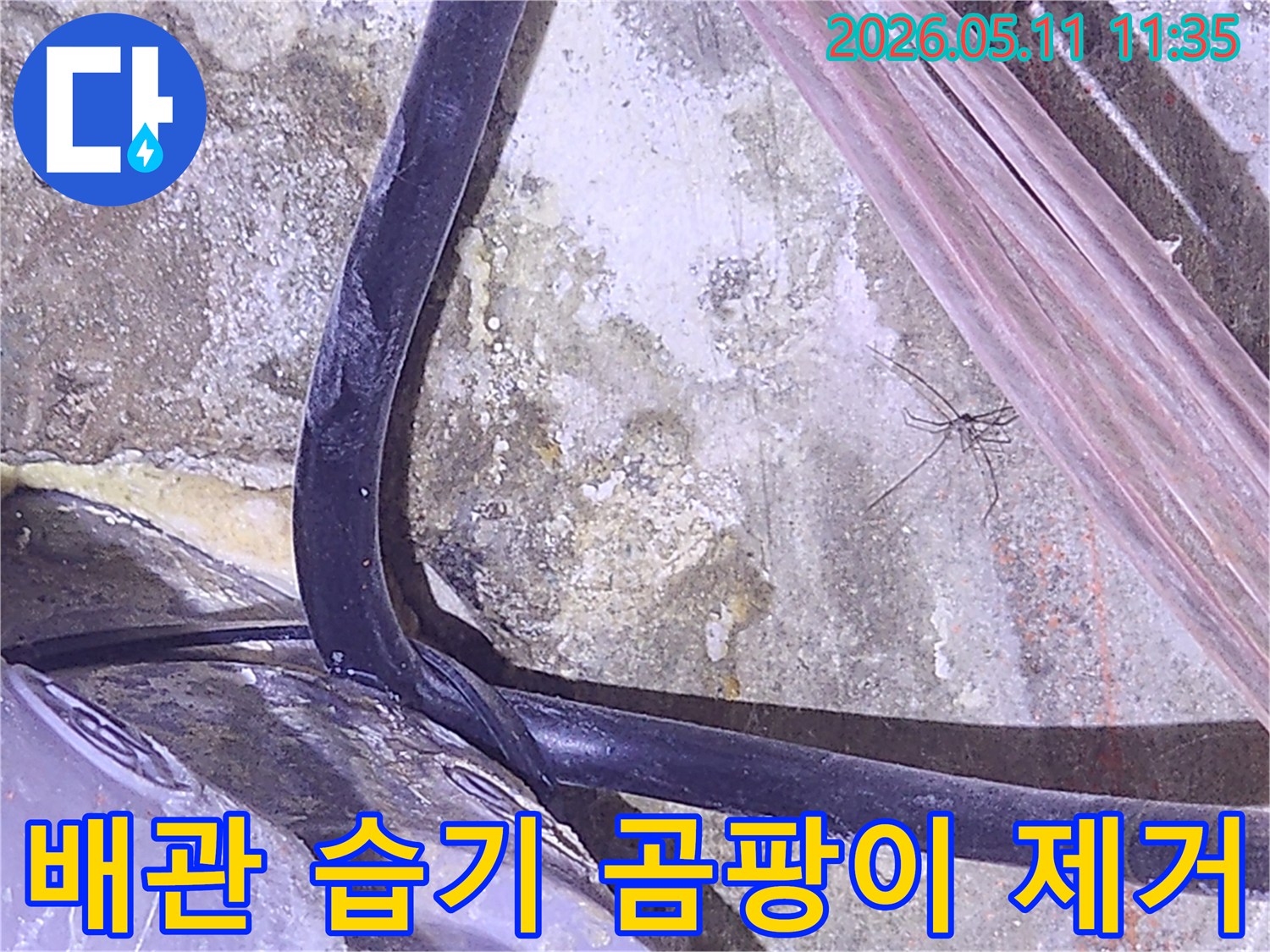 누수로-인한-배관-주변의-습기와-곰팡이를-제거하기-위해-현장을-점검하는-사진