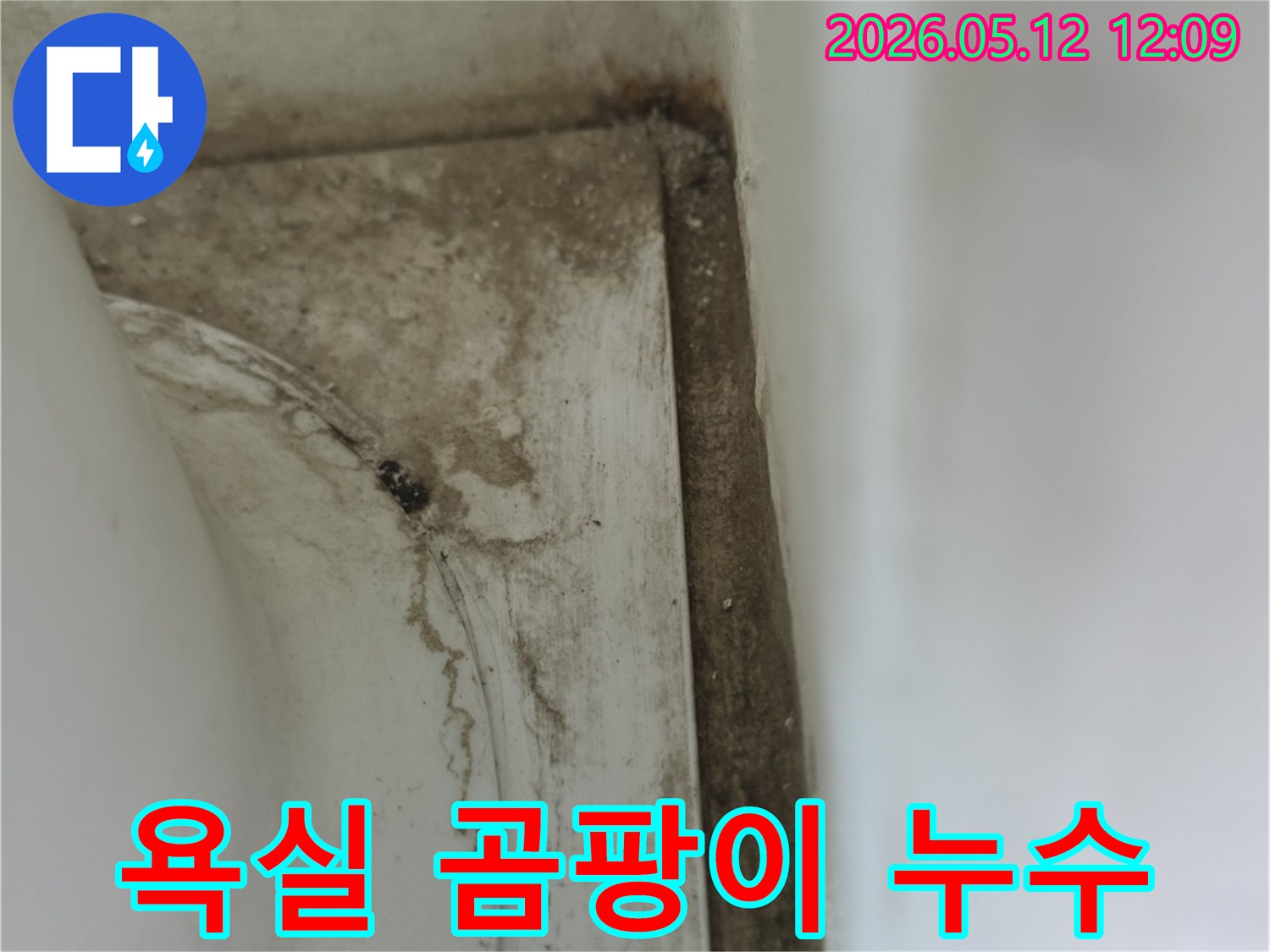 욕실-모서리-부분에-발생한-물샘-자국과-곰팡이로-인한-오염-현상