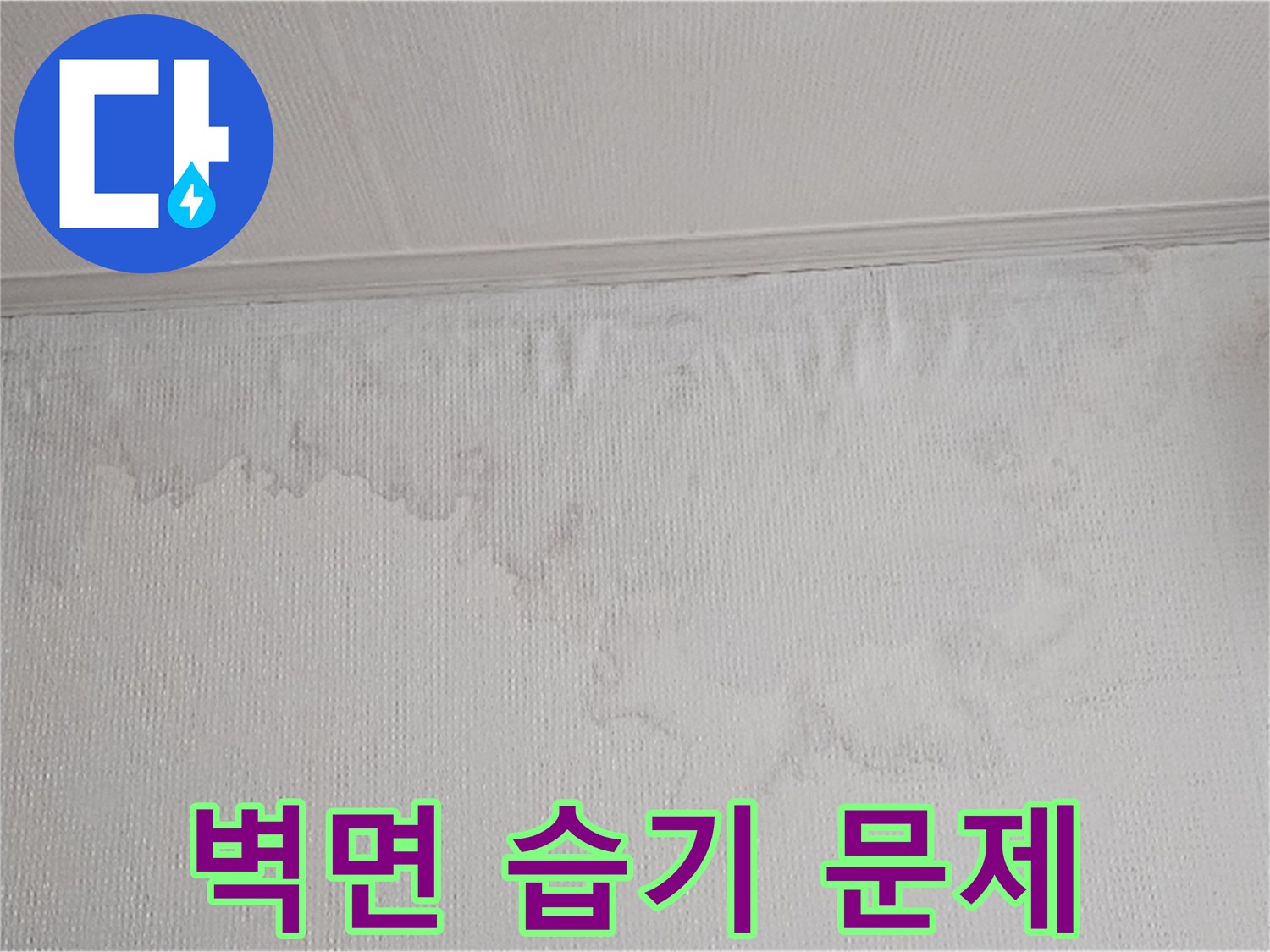 물이 새어 벽지가 젖고 곰팡이가 생길 수 있는 환경입니다-건강과 건물의 안전을 위해 빠른 조치가 필요합니다