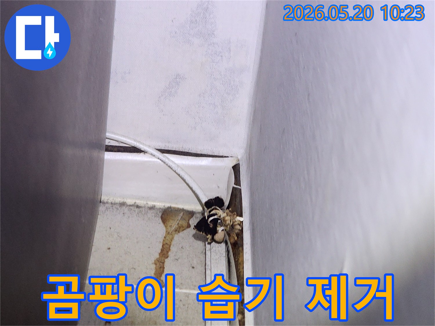 천장-누수로-인해-벽면에-생긴-곰팡이와-습기를-전문적으로-제거해야-하는-현장-사진입니다
