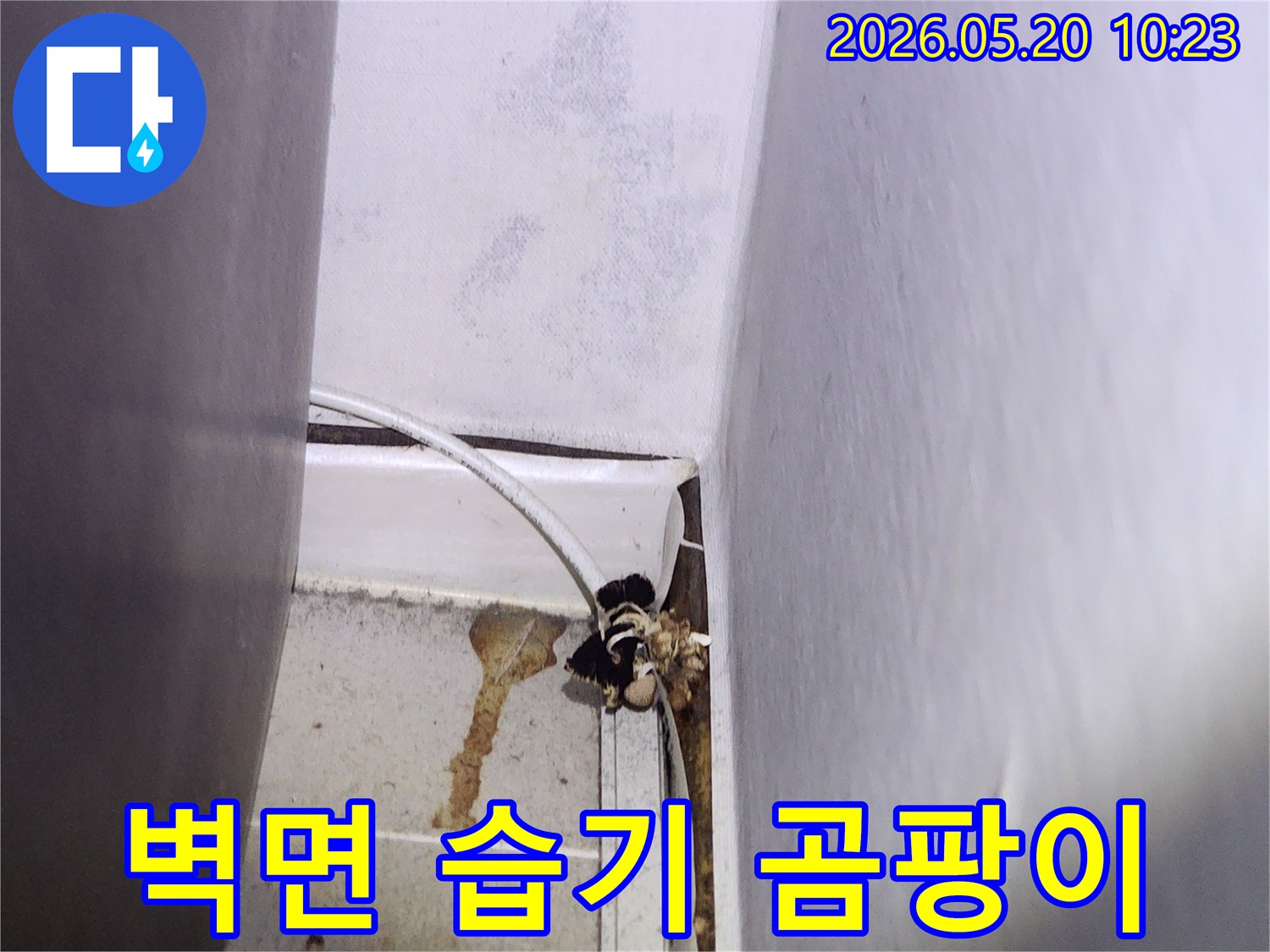 천장과-벽면-사이에-누수로-인한-습기와-곰팡이가-발생한-현장을-촬영한-사진입니다