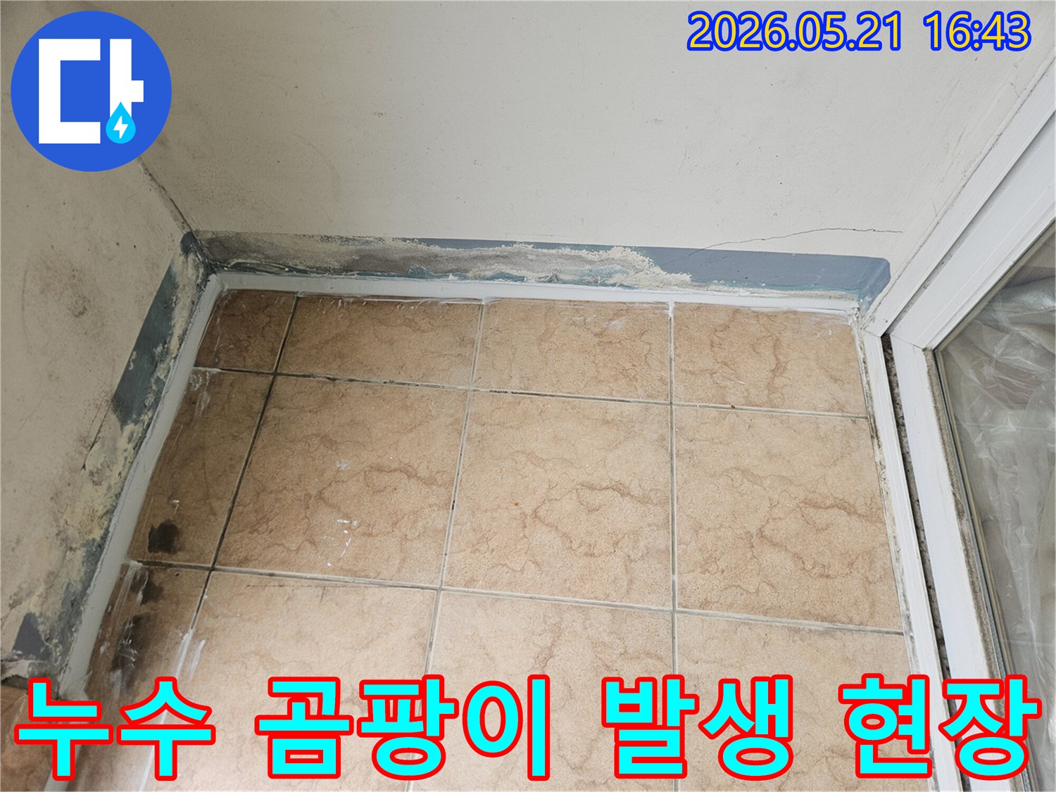 누수 문제로 인해 벽 하단에 곰팡이가 발생한 아파트 내부의 한 구석을 촬영한 사진