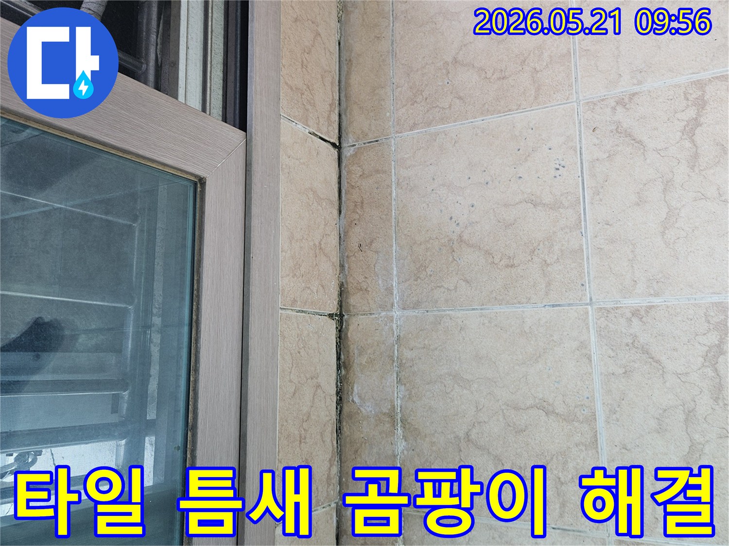 베란다-창문-아래-타일-틈새에-발생한-곰팡이와-누수-문제를-해결하는-과정을-보여주는-사진
